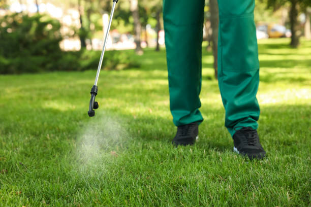 Reliable Pendleton, OR Pest Control Solutions