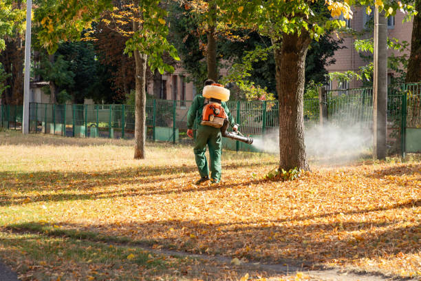 Flea Control Services in Pendleton, OR