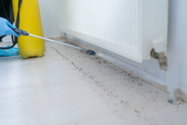 Best Pest Prevention Services  in Pendleton, OR