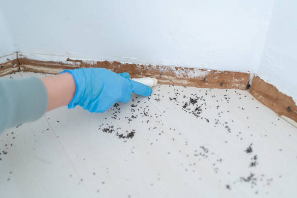 Best Pest Control Treatment  in Pendleton, OR